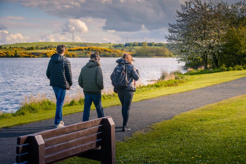 Lochore Meadows 