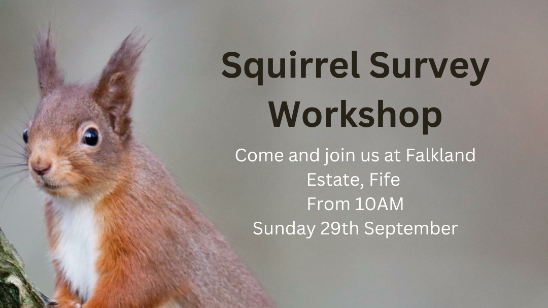 Squirrel Survey Workshop