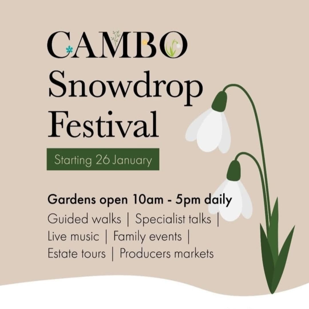 Cambo Snowdrop Festival 